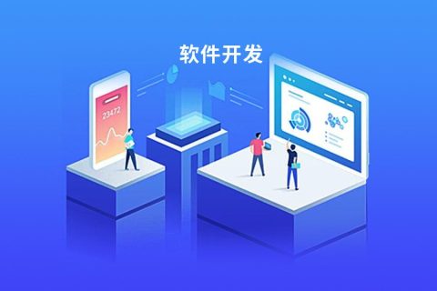 合肥網(wǎng)站建設制作 微信小程序開發(fā) app軟件開發(fā) 安徽斯百德