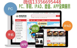 河北三軌制直銷系統(tǒng)軟件開發(fā)定制公司